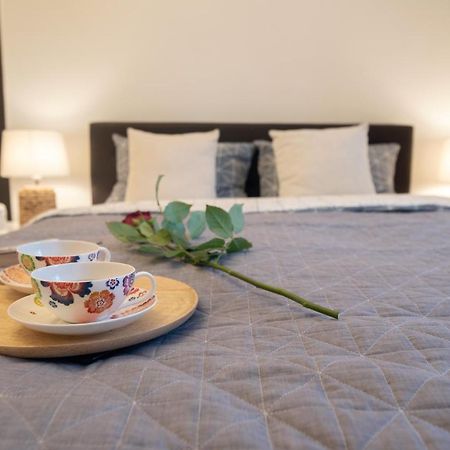 Central Bright Apartment Cluj Napoca Bagian luar foto