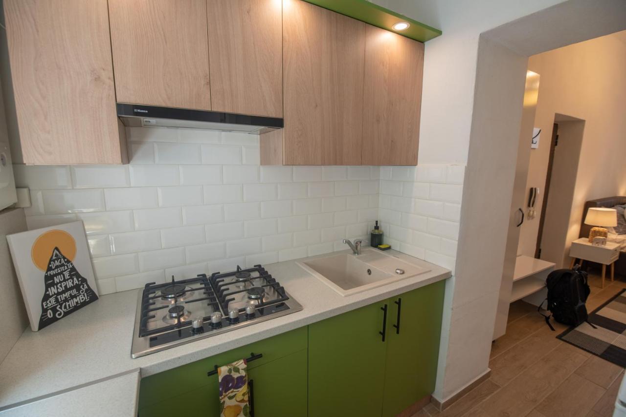 Central Bright Apartment Cluj Napoca Bagian luar foto